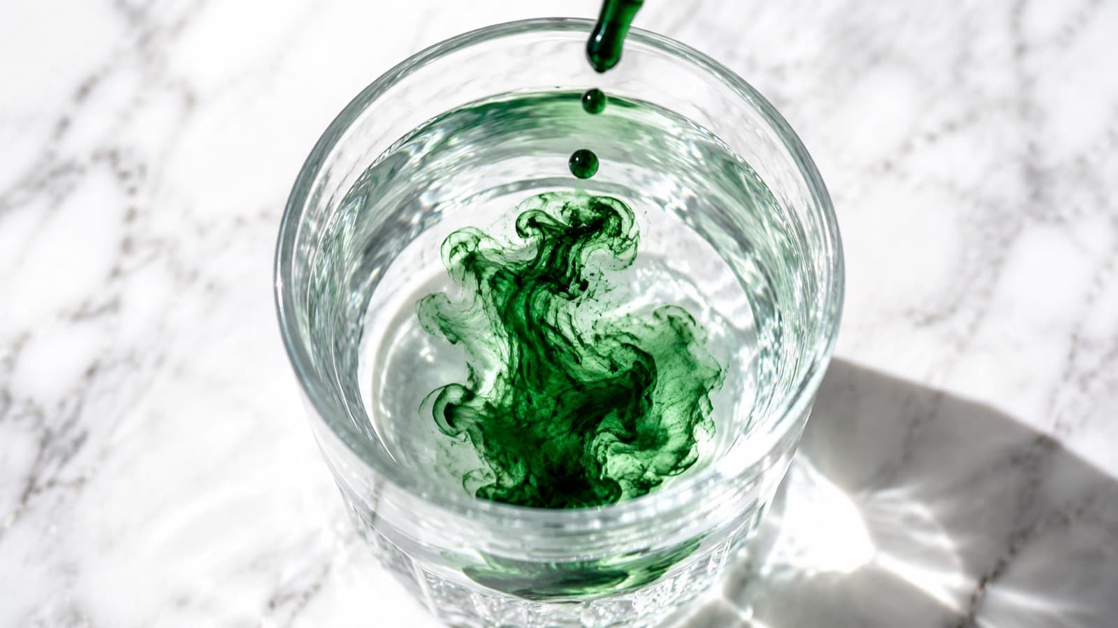 What Chlorophyllin Actually Does in Your Gut